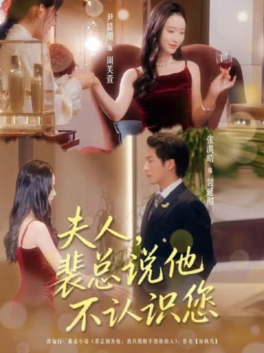 夫人裴总说他不认识您 (75集) 张淇皓&尹晨攒 | 短剧