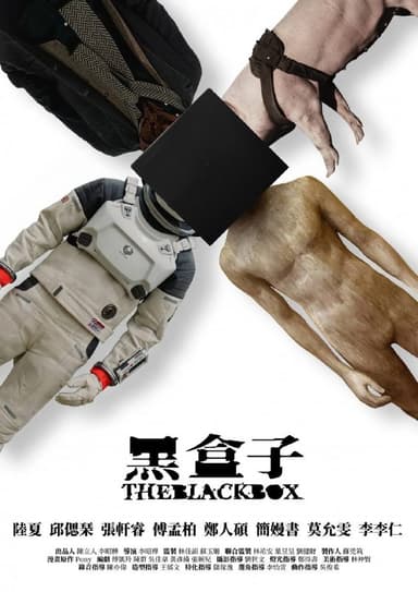 黑盒子（2025）NF 1080p 内封简中 全12集