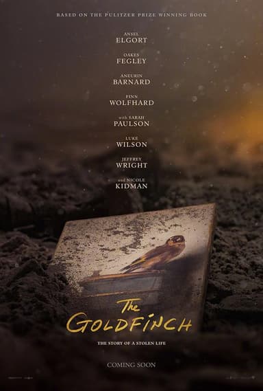 金翅雀 The Goldfinch (2019) 1080p 原盘Remux 中文字幕 【29.29GB】已刮削