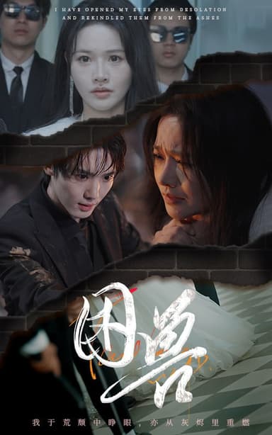 困兽(31集)【短剧】