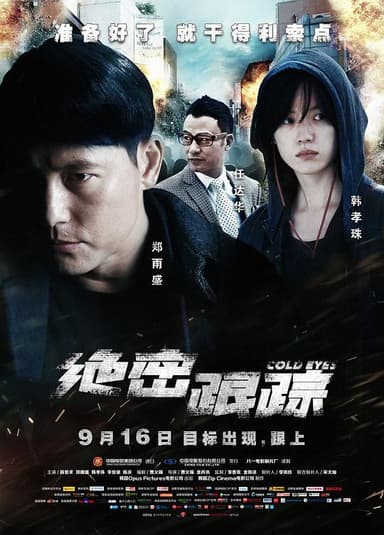 绝密跟踪 감시자들 (2013) 1080p 原盘Remux 中文字幕 【25.56GB】已刮削