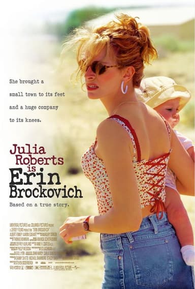 永不妥协 Erin Brockovich (2000) 1080p 原盘Remux 中文字幕 【32.05GB】已刮削