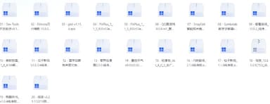 破解软件20251127