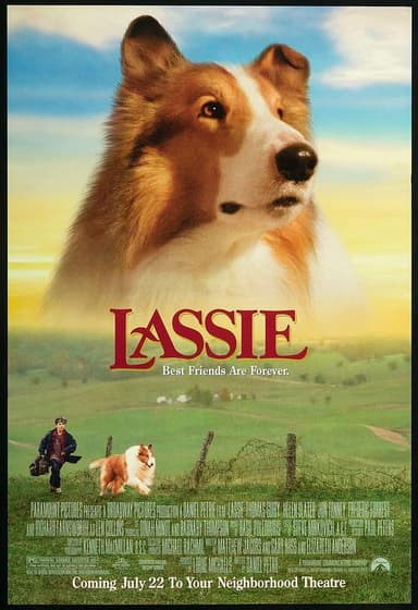 新灵犬莱西 Lassie (1994) 1080p 原盘Remux 中文字幕 【26.69GB】已刮削