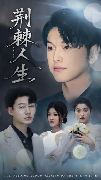 荆棘人生 (74集) 陈馨雨&胥宁轲 | 短剧