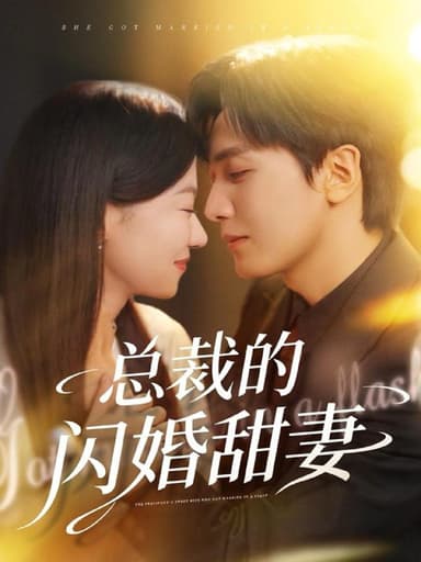 2025年11月28日 短剧合集目录6