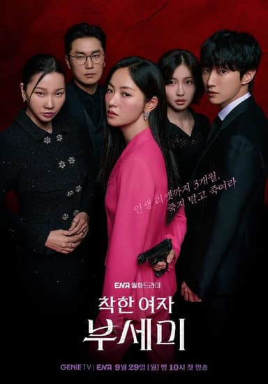 善良的女人夫世美！ / 善良的女人夫世美 / 善良的女人夫世弥（2025）【TVING.1080p】【内封简中】【12集全】【剧情】