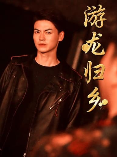 游龙归乡(60集)【短剧】