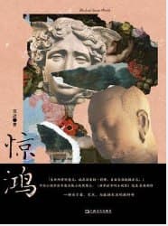 惊鸿 [小说文学] [电子书]