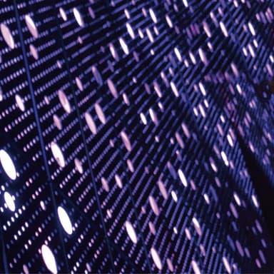 龙胆紫 - W.T.F (FLAC) qobuz